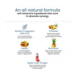 Wellbeing Nutrition Melts Into Healthy Gut Oral Strip - Mixed Berry Blast Flavour - Image 3