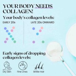 Wellbeing Nutrition Korean Marine Collagen Powder - Image 4