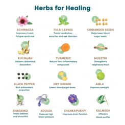 Wellbeing Nutrition Grandma's Kadha Herbal Tablet - Image 3
