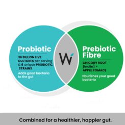 Wellbeing Nutrition Probiotic + Prebiotic Tablet - Green Apple & Peppermint Flavour - Image 6