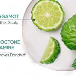 Biolage Advanced Scalppure Anti-Dandruff Conditioner - Image 2