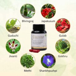 Groviva Complete Hair Solution Capsule - Image 5