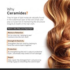 Minimalist Frizz Control Complex Hair Serum SPF 30 - Image 3