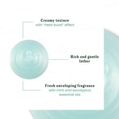 Rene Furterer Astera Fresh Soothing Freshness Shampoo - Image 5
