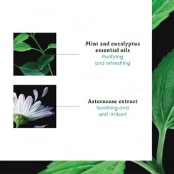 Rene Furterer Astera Fresh Soothing Freshness Shampoo - Image 6