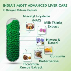 WishNew Wellness Liver Care Cleanse & Detoxify Capsule - Image 4