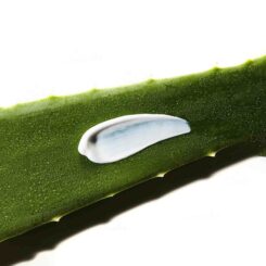 COSRX Aloe Soothing Sun Cream SPF 50+ PA+++ - Image 6